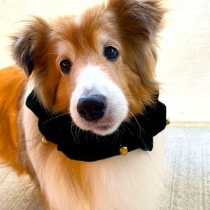 Green Velour Necklace w/Bells*